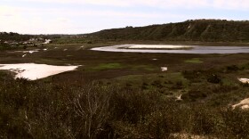 The site of the SANDAG-Caltrans preservation project on the Batiquitos Lagoon, April 7, 2015.