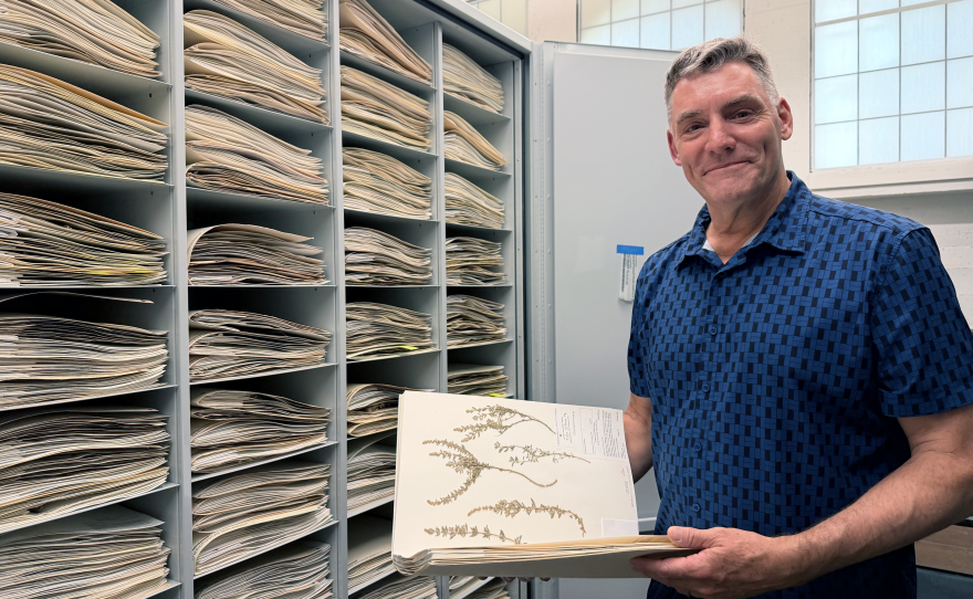 Botanist Jon Rebman stands in front of plant specimen files at the San Diego Natural History Museum on Feb. 24, 2026.
