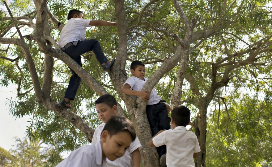 Children climb a tree on the grounds of a school in La Rivera Hernandez, a neighborhood in San Pedro Sula, Honduras, that is notorious for high levels of violence in a city that has some of the highest homicide rates in the world.