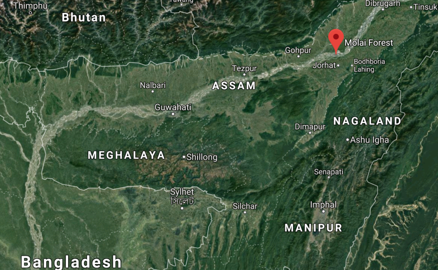 Geographically separated from the Indian subcontinent, the northeast juts toward China, and is nestled along the borders of Bhutan and Tibet.