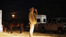 Stephen Fry wears a cowboy hat as he stands next to a horse and trailer on his way across the United States. 