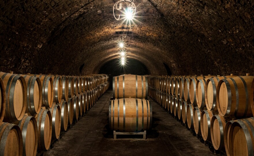 Inside Jacques Selosse's cellars, one of the leading grower Champagnes, where many new producers have apprenticed.