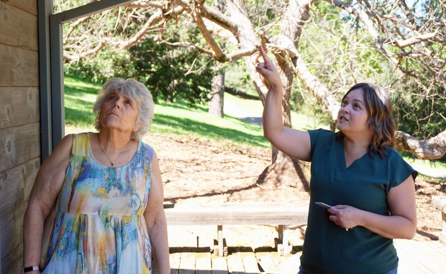 El Dorado County wildfire resilience officer Tanya Harlow looks at the home of Placerville resident Adele Montgomery. Her house is part of a new program to retrofit houses with fire-resistant materials, but has been stalled for a year due to delays at FEMA.