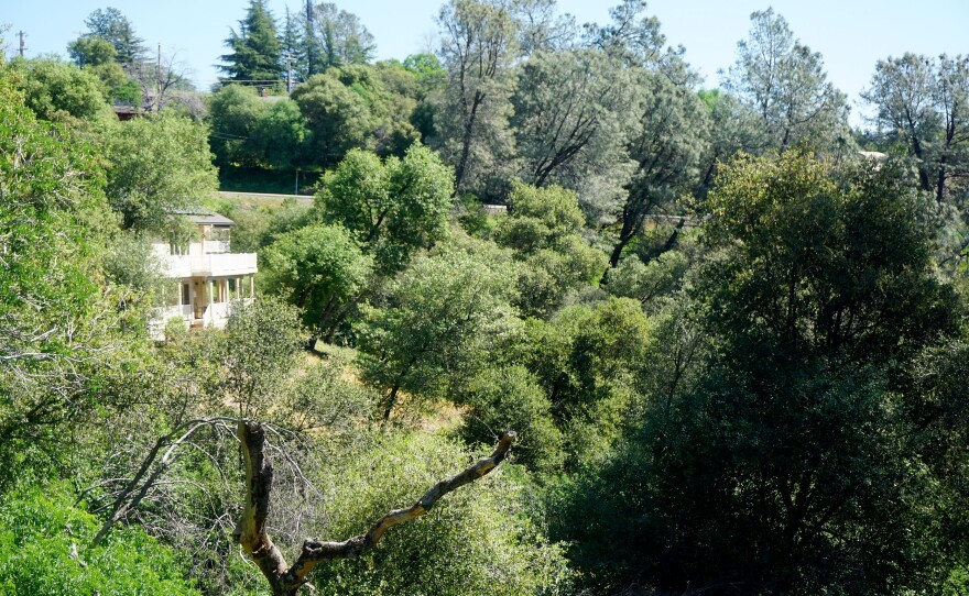 With thick vegetation and steep hillsides, Placerville, Calif. is working on reducing the risk of a catastrophic wildfire. Experts say the biggest impact comes from entire neighborhoods working together.