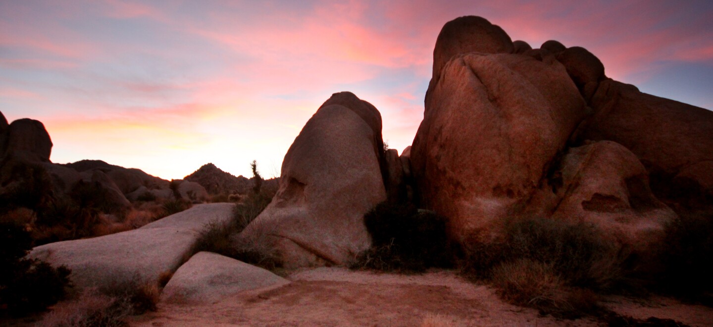 Sunset at Joshua Tree National Park
