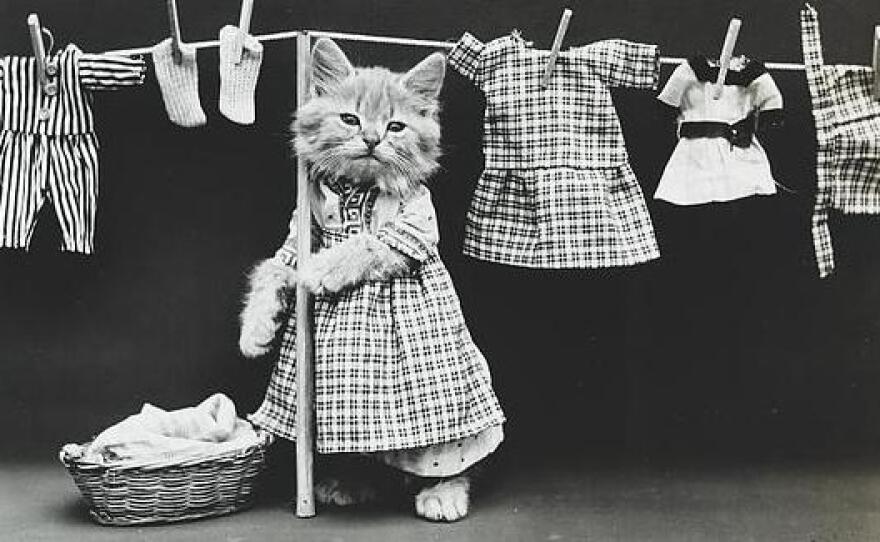 Hanging up the wash. Circa June 14, 1914.