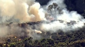 A fire burning in the Tecolote Canyon Natural Park area in Linda Vista, April 18, 2016.