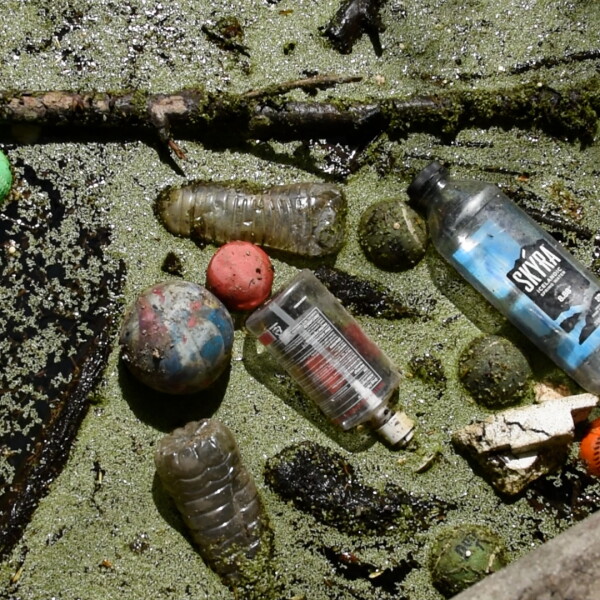 California Lawmakers Face Pressure Over Plastic Packaging Fee Delays
