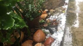 Storms bring hail to Oceanside, Jan. 23, 2017. 
