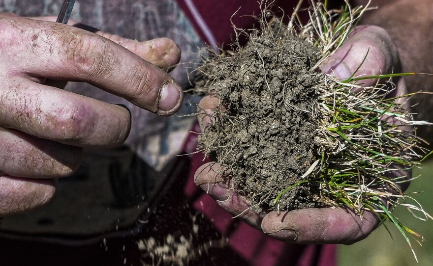 Farmer, Baptiste Colson, holds a clump of dried earth and grass as he stands in a sun-dried field in Moloy, France Wednesday Aug. 10, 2022.