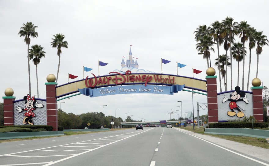 A woman has sued Walt Disney Parks and Resorts for negligence, claiming a ride down a water slide at Florida's Disney World left her severely injured.