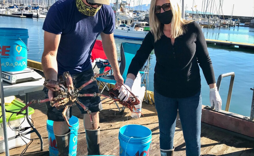 Joseph and Melissa Garrigan of Garrigan Seafood Co. show off a freshly caught spider crab and a California spiny lobster.