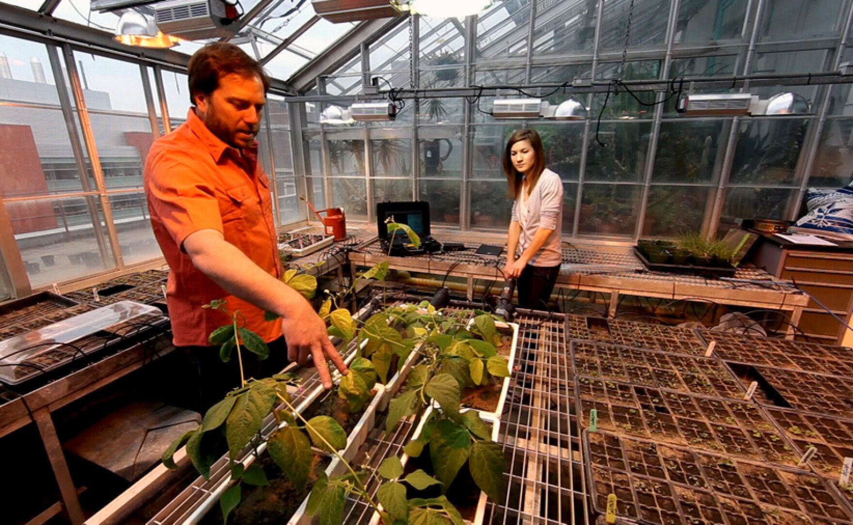 NATURE What Plants Talk About KPBS Public Media