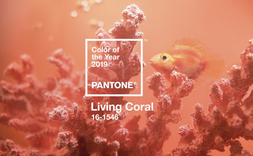 Living Coral is the Pantone Color Institute's color of the year for 2019. The vibrant hue represents "the fusion of modern life," the institute explains.