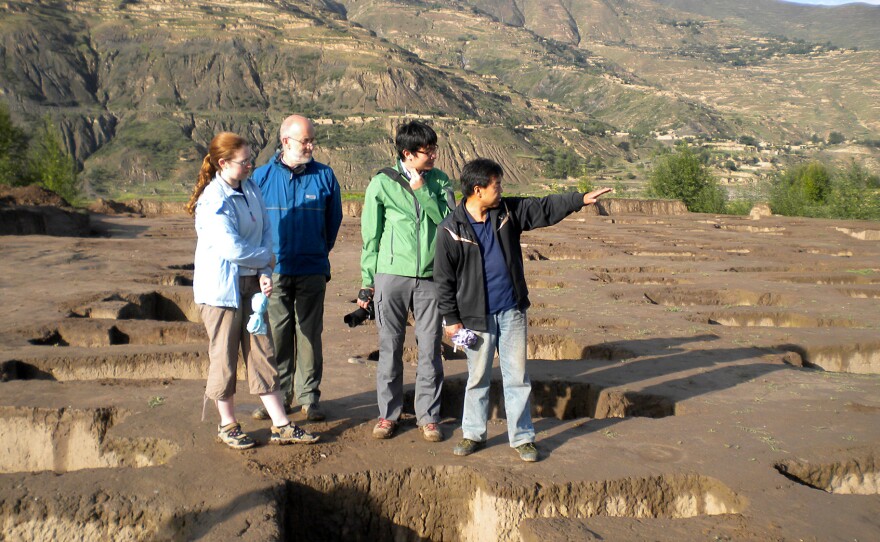 Researchers at a Neolithic site in Mogou, in western China, where eastern and western cereals met.