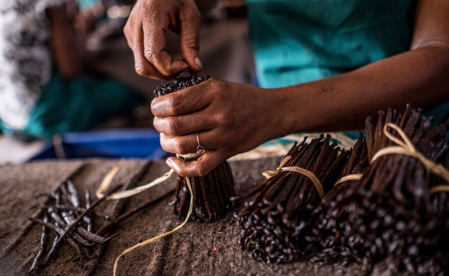 Workers sort through bundles of vanilla at a warehouse in Antalaha, Madagascar.