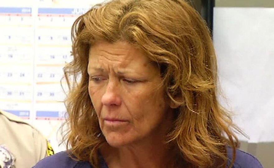 Theresa Owens, 49, at her arraignment on Aug. 15, 2014.