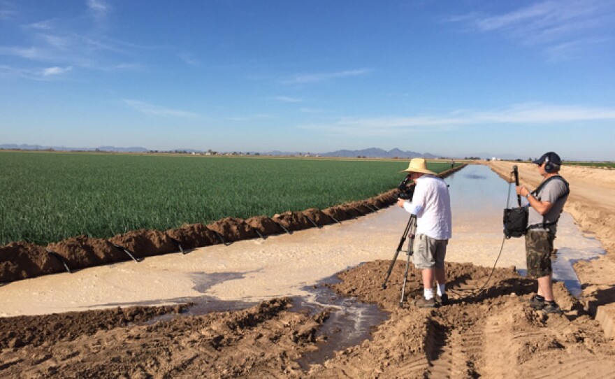 Drought Fallowing HalfMillion Acres In California In 2015 KPBS