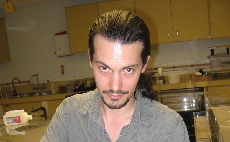 Thomas Chouvenc, a researcher of the study, shows some of the typical damage done by Asian termites, the parent of the potentially more invasive hybrid species.