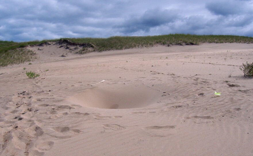 One of the holes found on top of Mount Baldy.