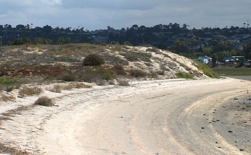 A sandy berm that keeps Mission Bay from flooding the Kendall Frost Marsh, July 10, 2015.
