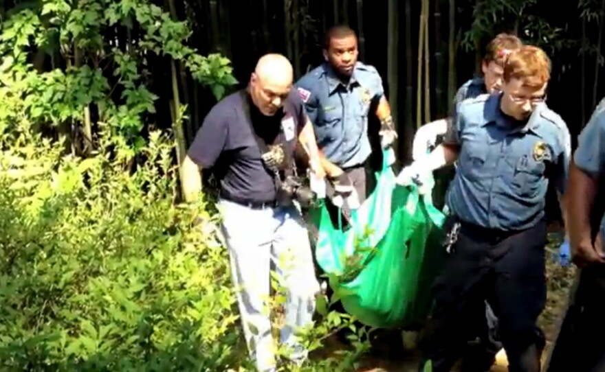 A black bear was captured in  northwest Washington, D.C., Wednesday, two days after Rusty the red panda escaped from the National Zoo into a nearby area.