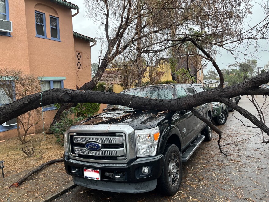 A tree fell on top of a car after rain Sunday night and Monday morning. San Diego, Calif. Jan. 16, 2023.
