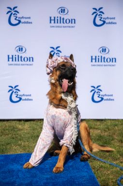 Hilton San Diego Bayfront’s BooFront Pet Costume Contest
