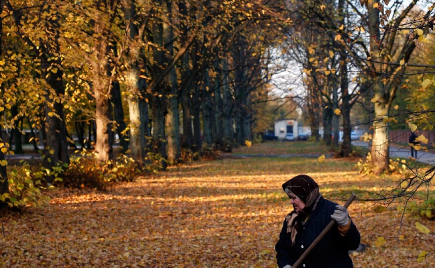 An elderly woman rakes leaves in Kaliningrad, Russia. Since 1992, the number of deaths in the country has outpaced births by nearly 3 to 2.