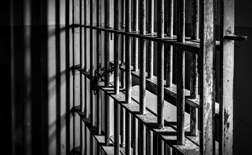 NPR's series looks at the human toll of mandatory minimum prison sentences. The White House and the Justice Department have taken the unprecedented step of asking for candidates who might win early release from prison through presidential pardons or commutations in the final years of the Obama presidency.