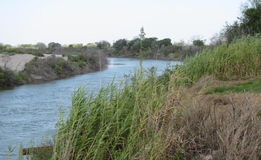 A view of the Rio Grande River from a 445-acre ranch for sale in Hidalgo County, TX.