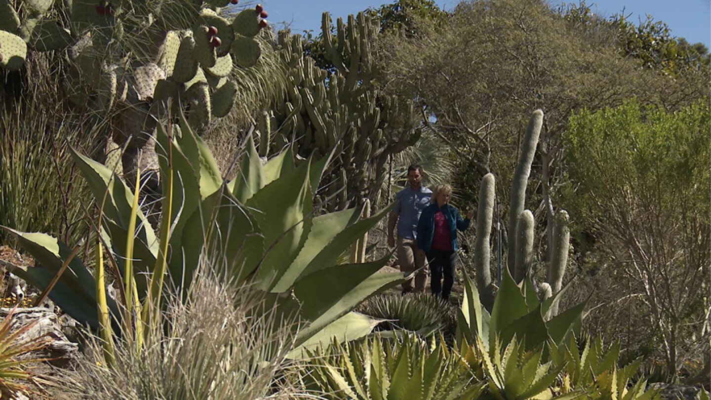 Host Nan Sterman and President and CEO of the San Diego Botanic Garden, Ari Novy, walk through the New World Collection.