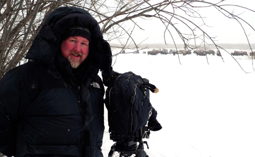 Filmmaker Jeff Turner filming buffalo in winter.