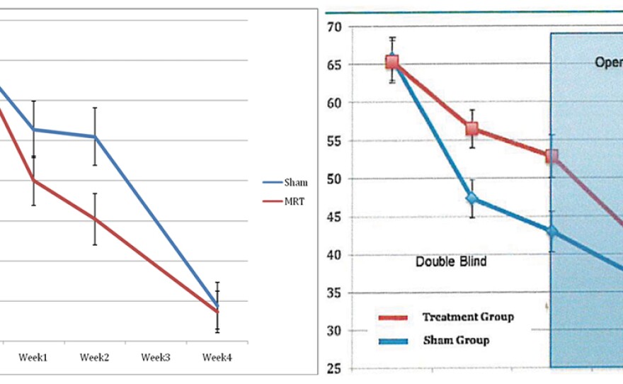 Dr. Kevin Murphy’s proposal to test PrTMS on veterans with PTSD (right) took language from a previous study performed by his competitors (left) and substituted the word “PrTMS” in place of “MRT.”