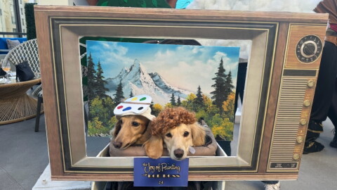 Howl-O-Ween Yappy Hour
