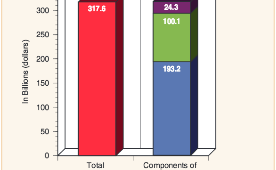 The chart details the annual total direct and indirect costs of serious mental illness nationwide in 2002. In 2002, $317.6 billion dollars was spent on mental illnesses. Of that, $24.3 billion was spent on disability benefits, $100.1 billion was spent on health care expenditures and $193.2 billion was loss of earnings.