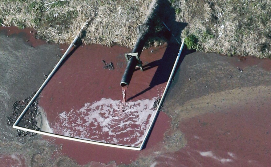 A hog facility in Duplin County, N.C. discharges waste into a manure lagoon, April 2015.