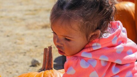 Mission Valley Pumpkin Station