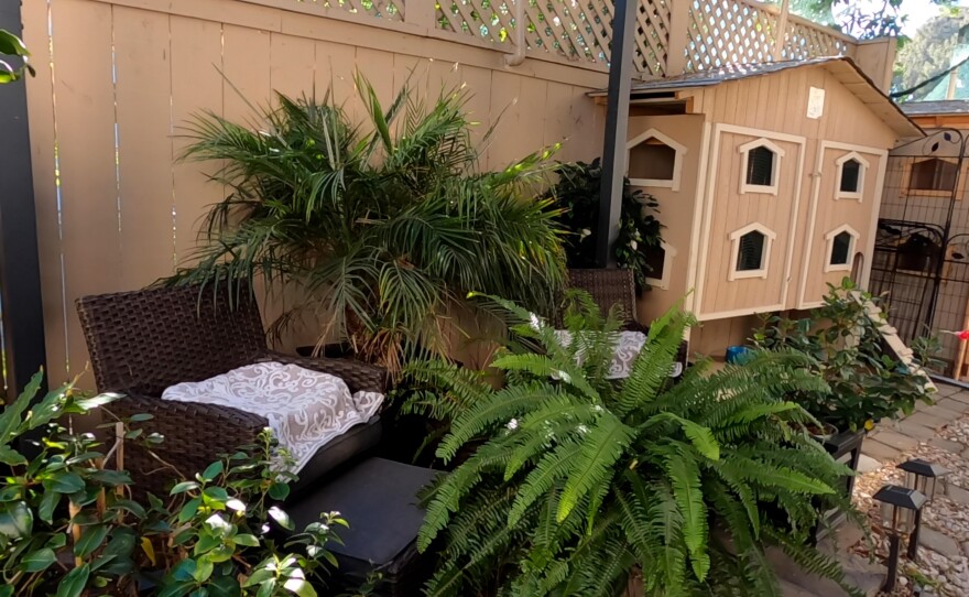 One of several cat houses is shown at Shanti's House cat sanctuary on April 6, 2022.