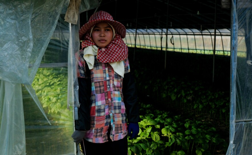 A Cambodian migrant farm worker stands outside the greenhouse where she works growing vegetables in Miryang, South Korea.