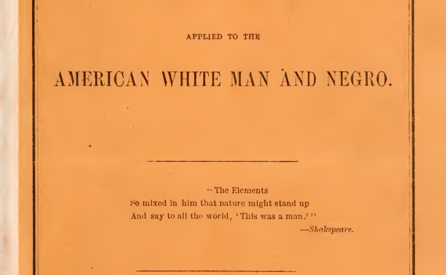 An 1860s pamphlet published, supposedly, by abolitionists encouraging black and white people to get together and procreate.