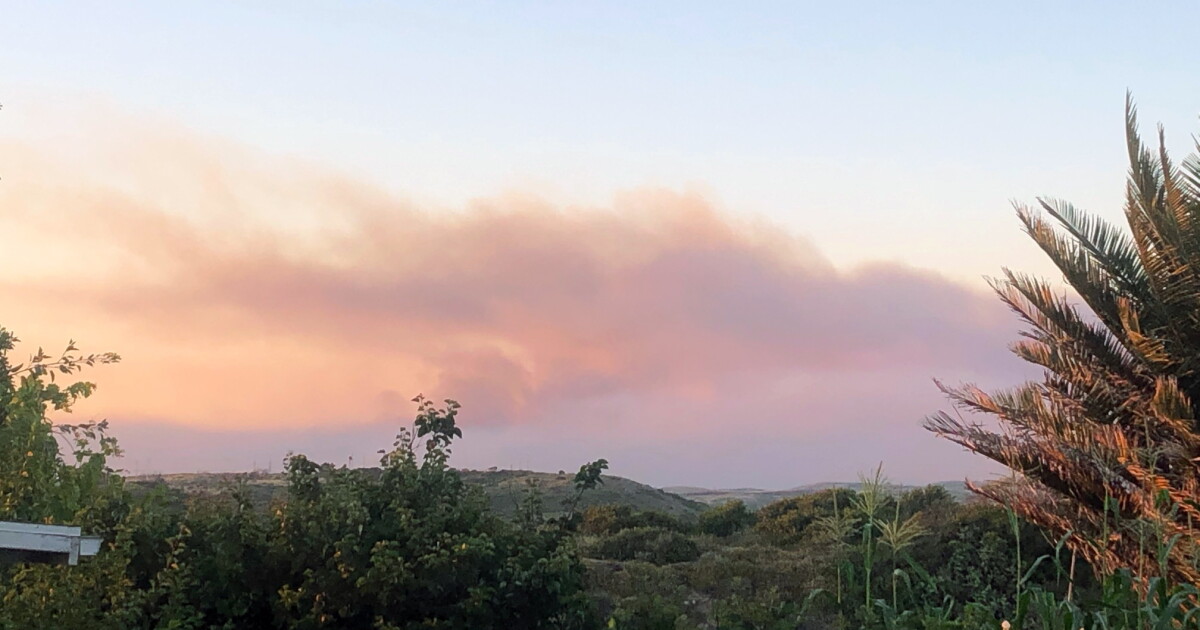 Wildfires Char Thousands Of Acres At Camp Pendleton | KPBS Public Media