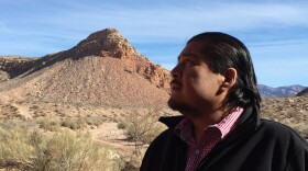"Get in line" is what William Anderson, former chairman of the Moapa Band of Paiutes, says of the current take-back-federal-lands movement.