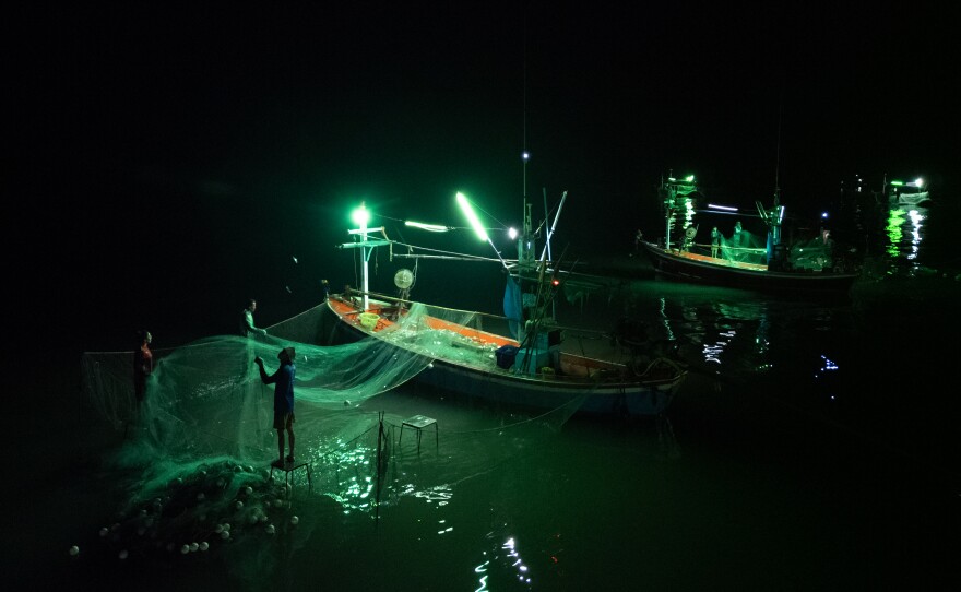 Small-scale artisanal fishermen shake sardines from nets to gather them en masse after returning to shore with their catch, in the Gulf of Thailand, off the coast of Prachuap, Thailand, on Jan. 20, 2025.