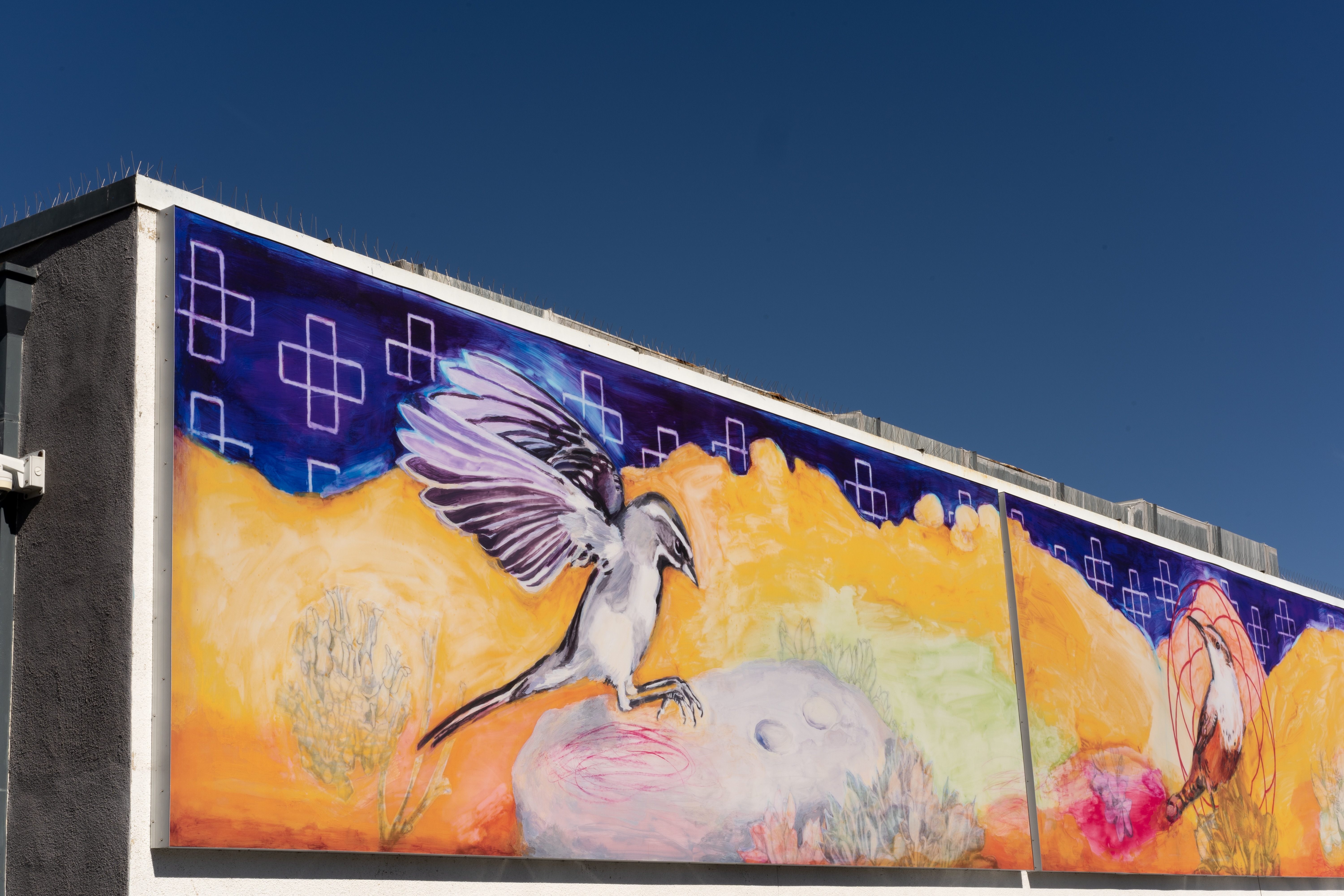 This La Jolla mural is 'the first public display' of Kupa language