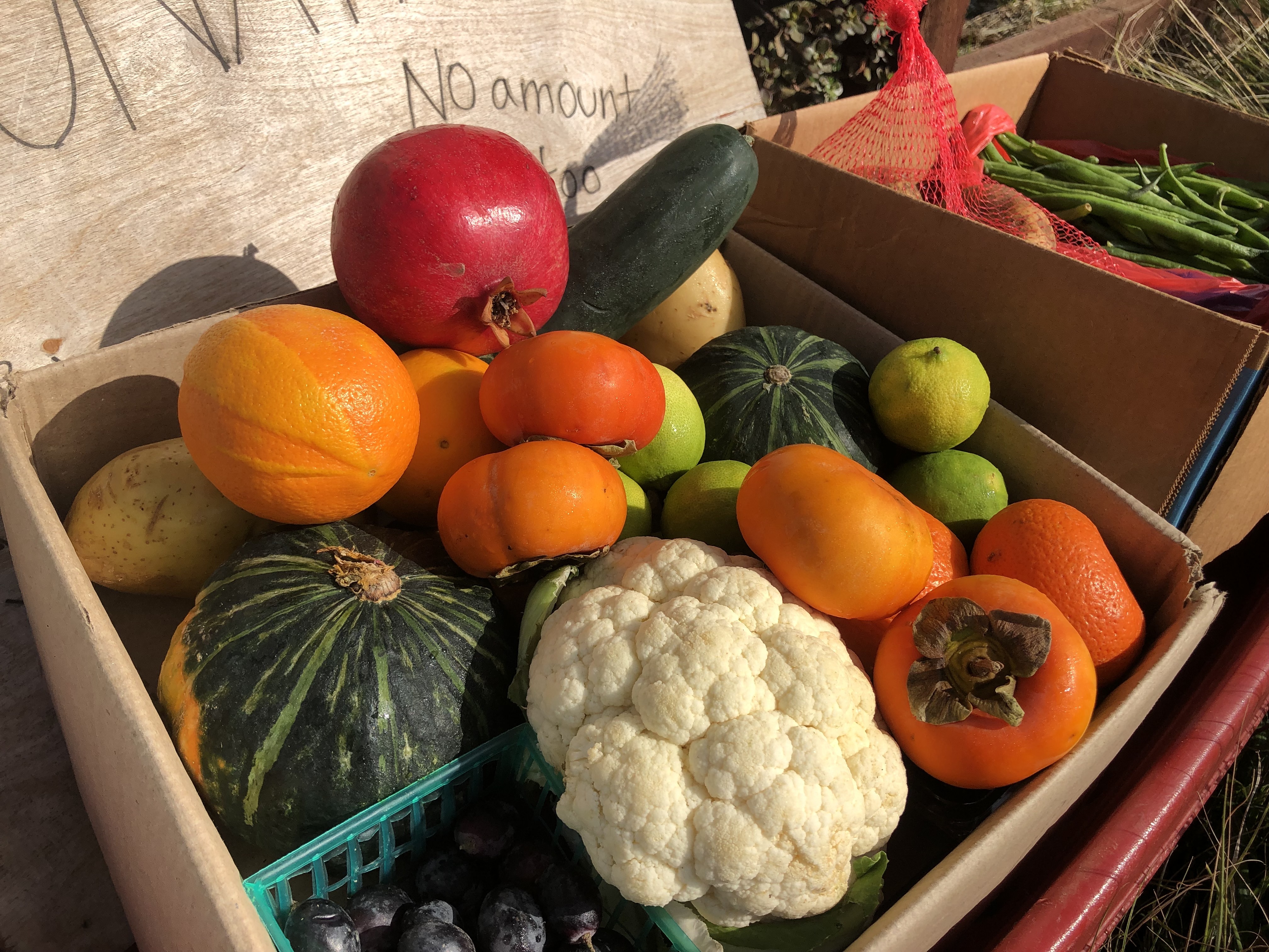 kpbs.org - City News Service - No outbreak of cyclosporiasis reported locally yet, but food safety encouraged